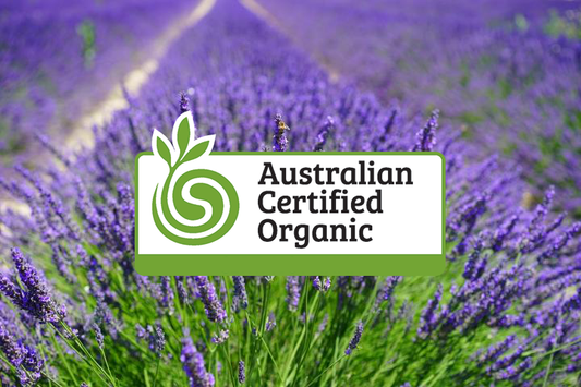 What is Organic Skin Care?
