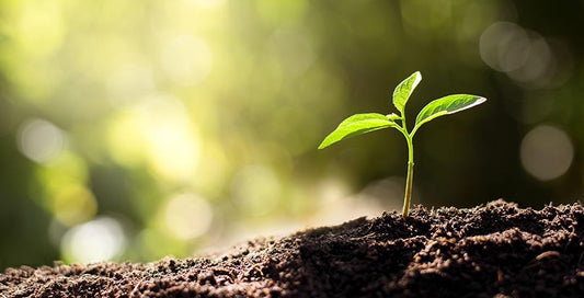 Sustainable bundles