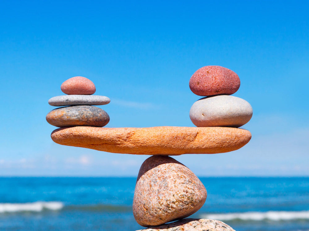 The Hidden Dangers of Endocrine Disruptors and Why You Should Avoid Ar