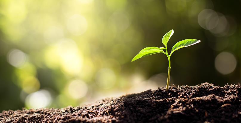 Sustainable bundles